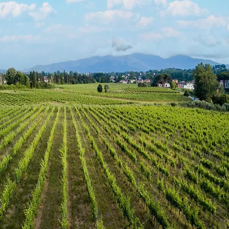 In Fattoria Sardi Wine